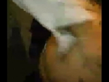 Moviendo la cola